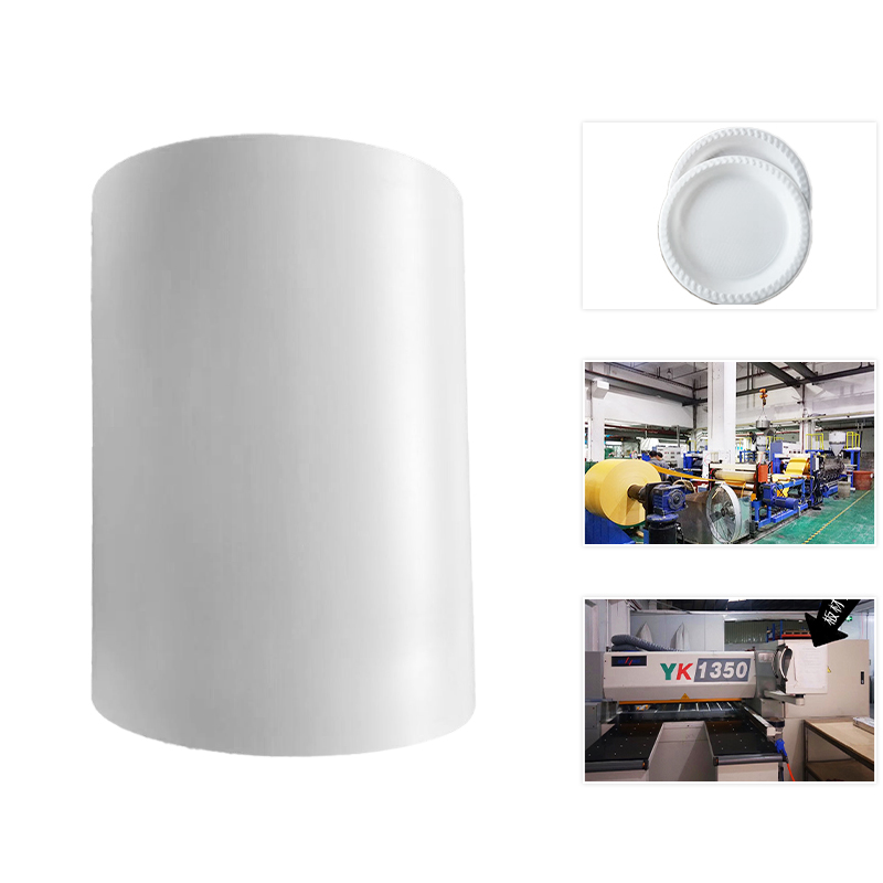 Polylactic acid sheet